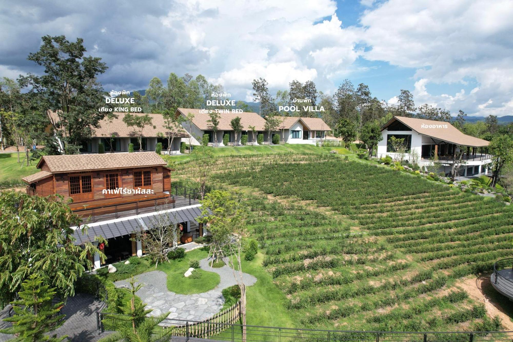 Passa ผัสสะ Tea Plantation @Mae On Hotell Ban Huai Kaeo Eksteriør bilde